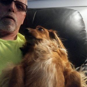 Meet your Posher, Terry